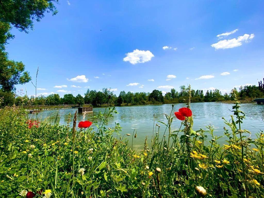 Impasse Des Terres Fortes Romorantin-Lanthenay